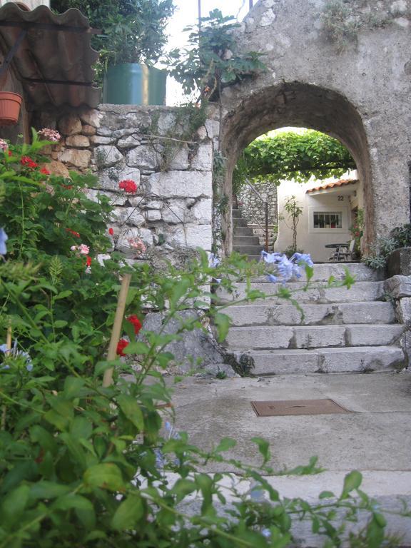 Guesthouse Villa Galovic Brsec Exterior photo