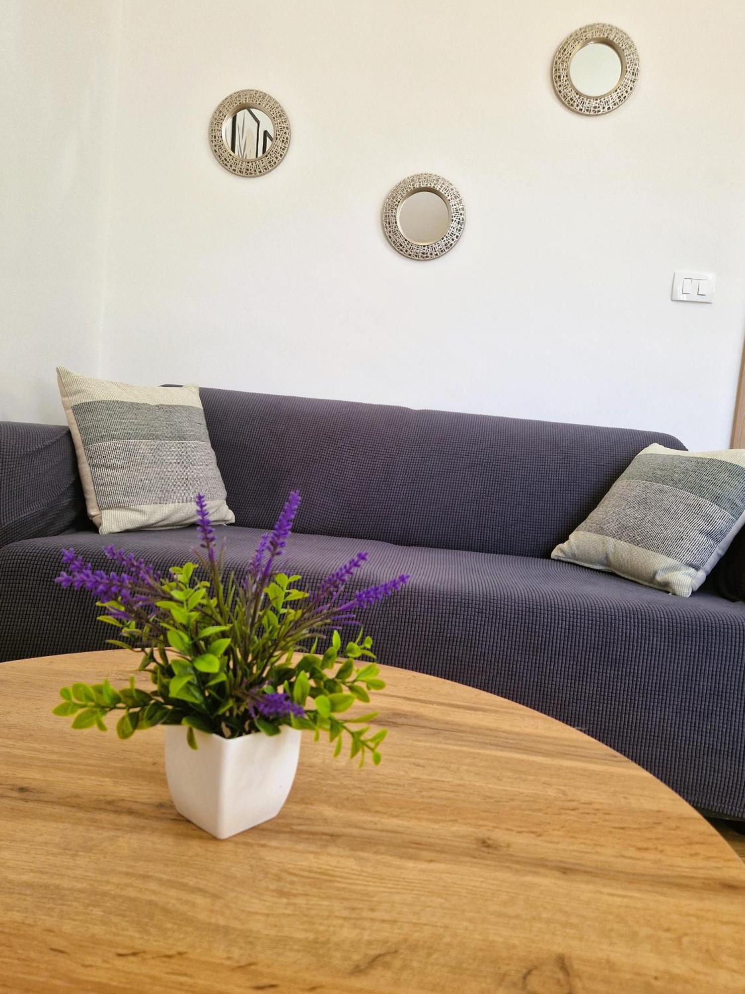 Guesthouse Villa Galovic Brsec Room photo